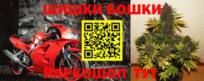 крисы Коммунар