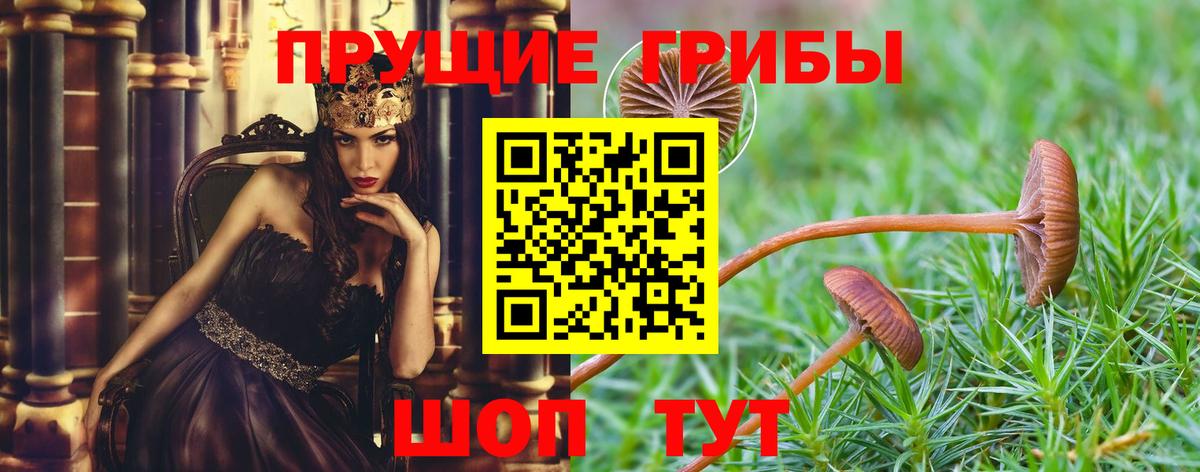 Полевской  Псилоцибиновые грибы мицелий  продажа наркотиков  Вход с VPN  Псилоцибиновые грибы Psilocybe 